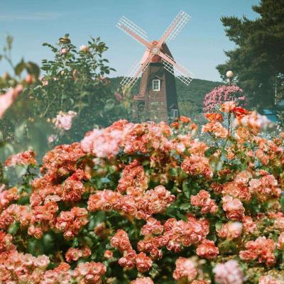 九游会AG手机app下载