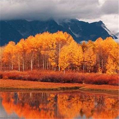 香港2023正版免费资料